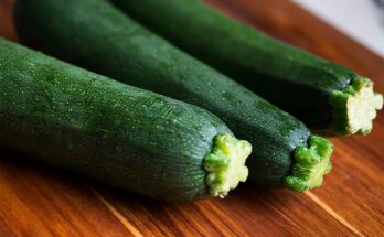 zucchini Health benefits